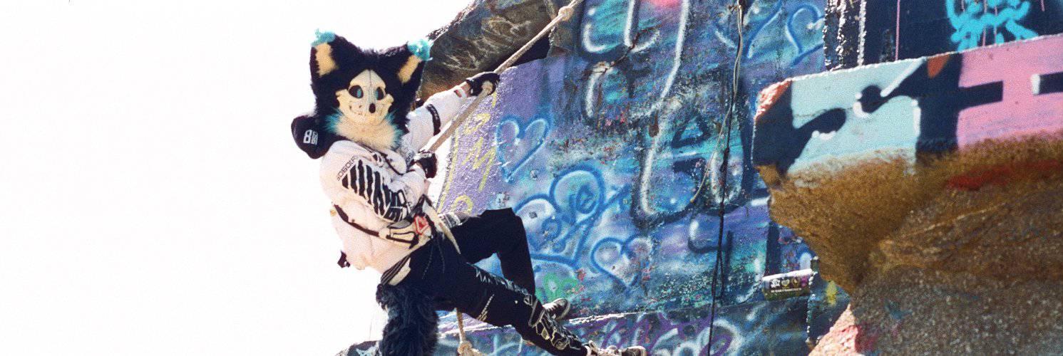 Banner image